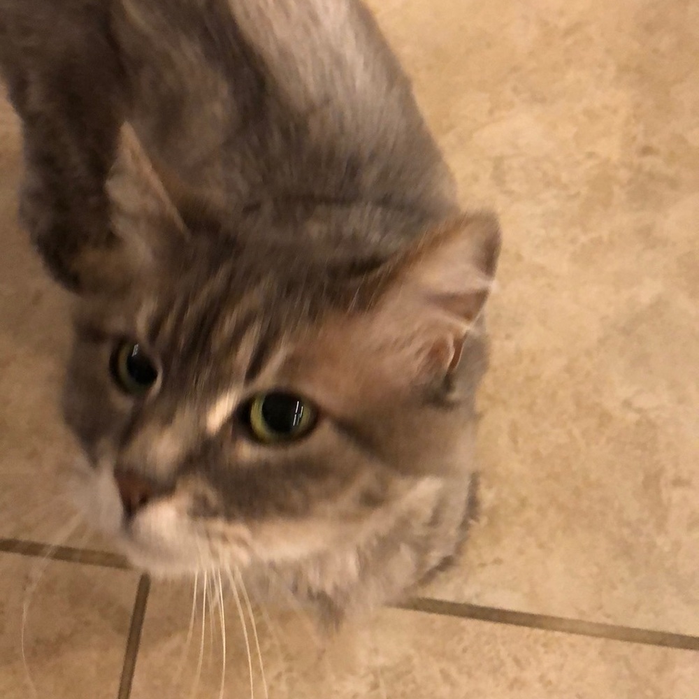 Meet your Posher, Terri